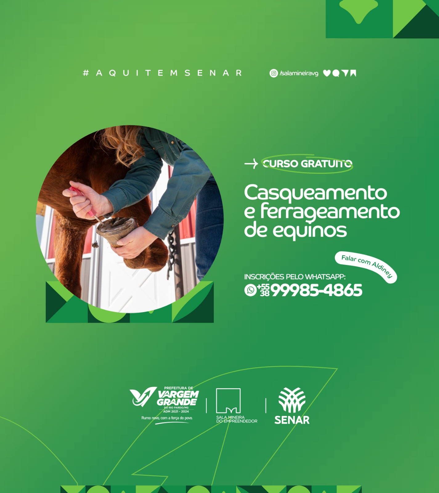 CURSO GRATUITO - CASQUEAMENTO E FERRAGEM DE EQUINOS